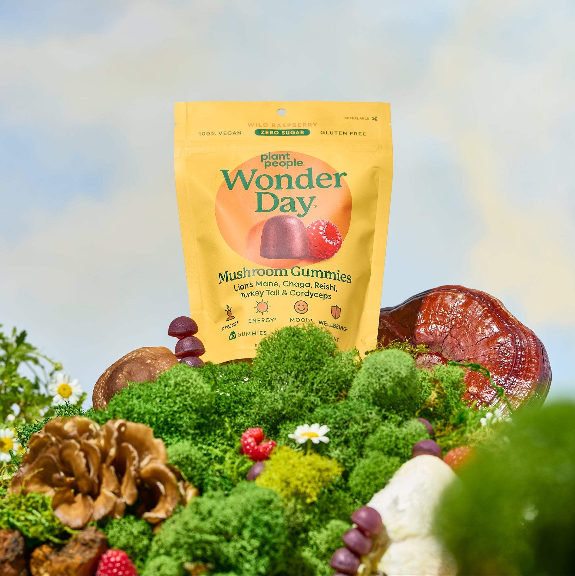 WonderDay - Super Mushroom Gummies