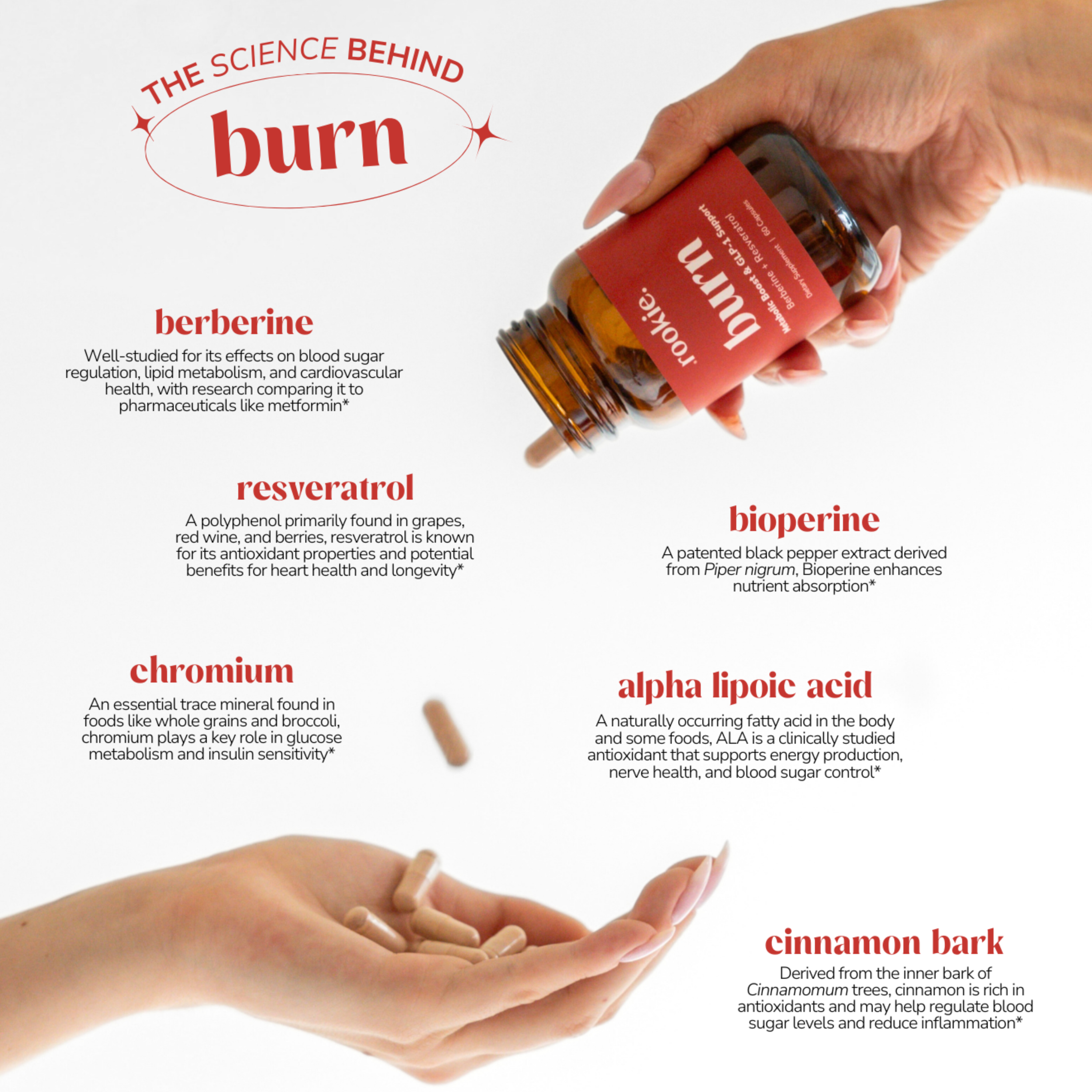 Burn Capsules, Metabolic Boost & GLP-1 Support