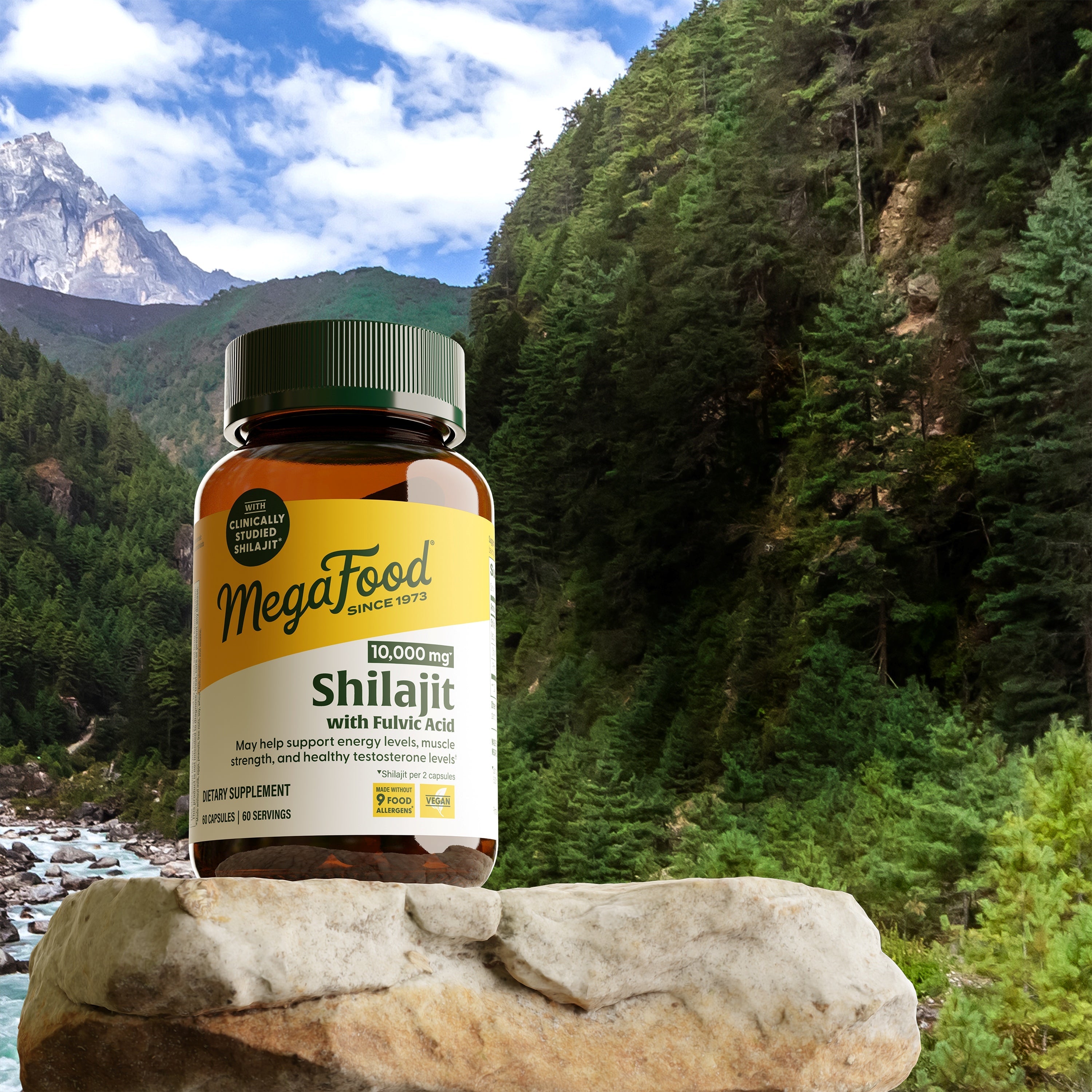 Shilajit with Fulvic Acid Capsules