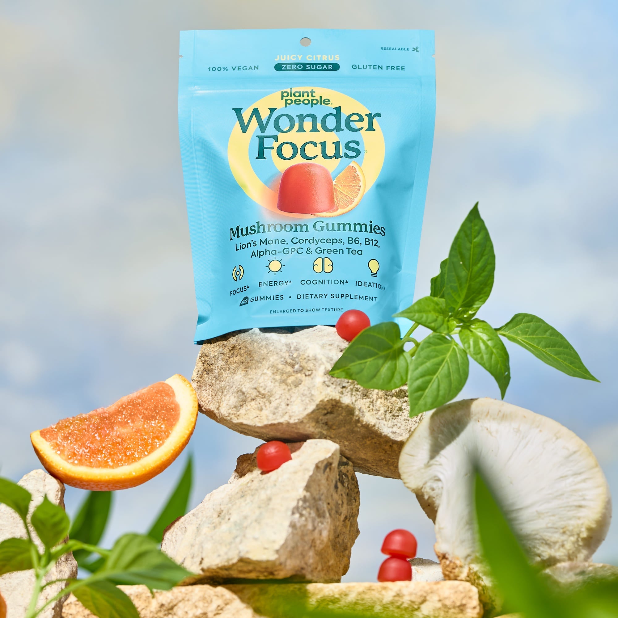 WonderFocus - Mushroom Gummies