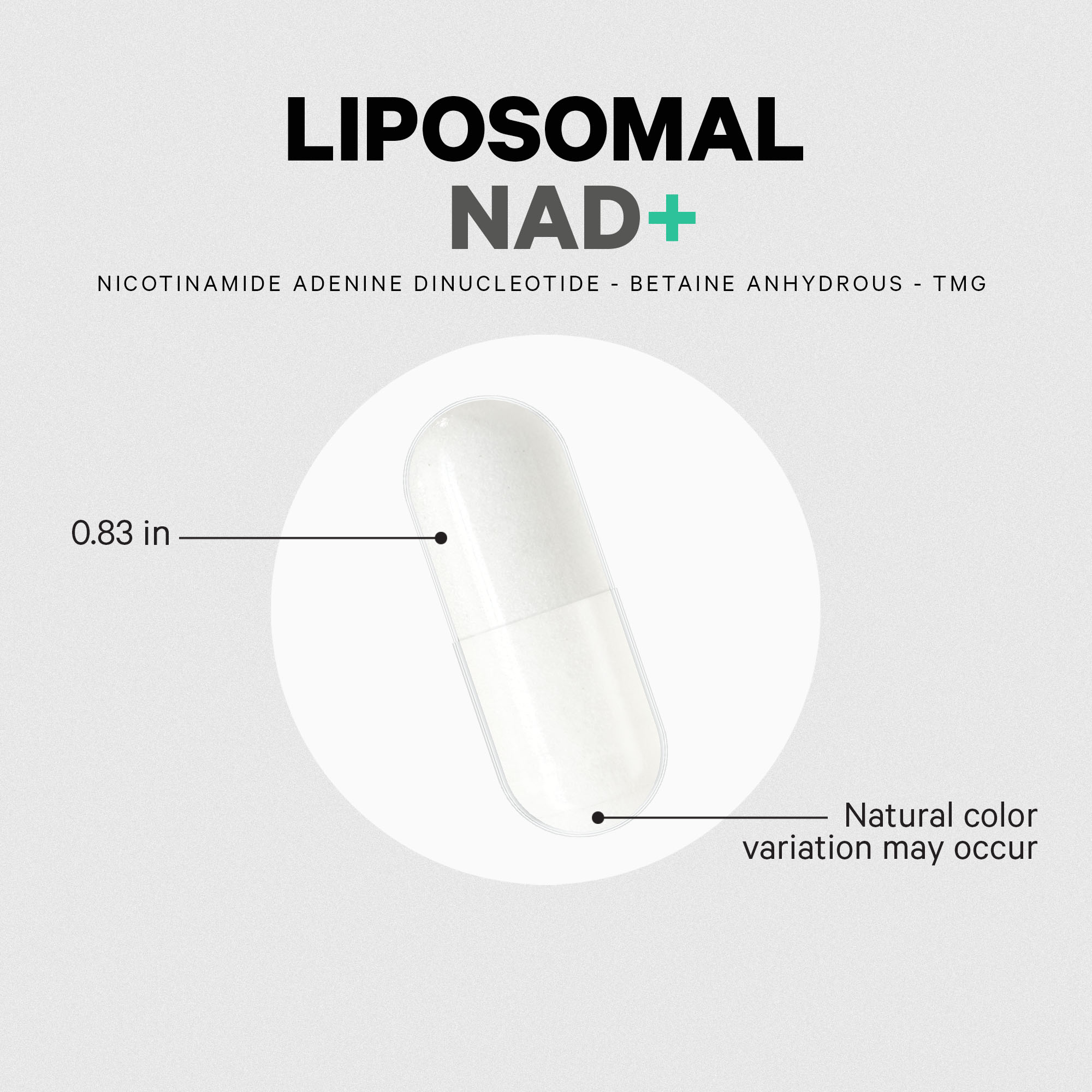 Liposomal NAD+