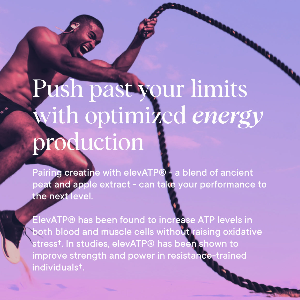 Supercharged Creatine Powder - Muscle Memory