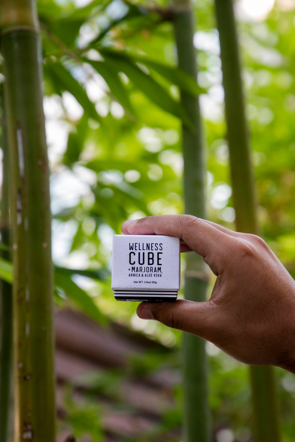 Wellness Cube