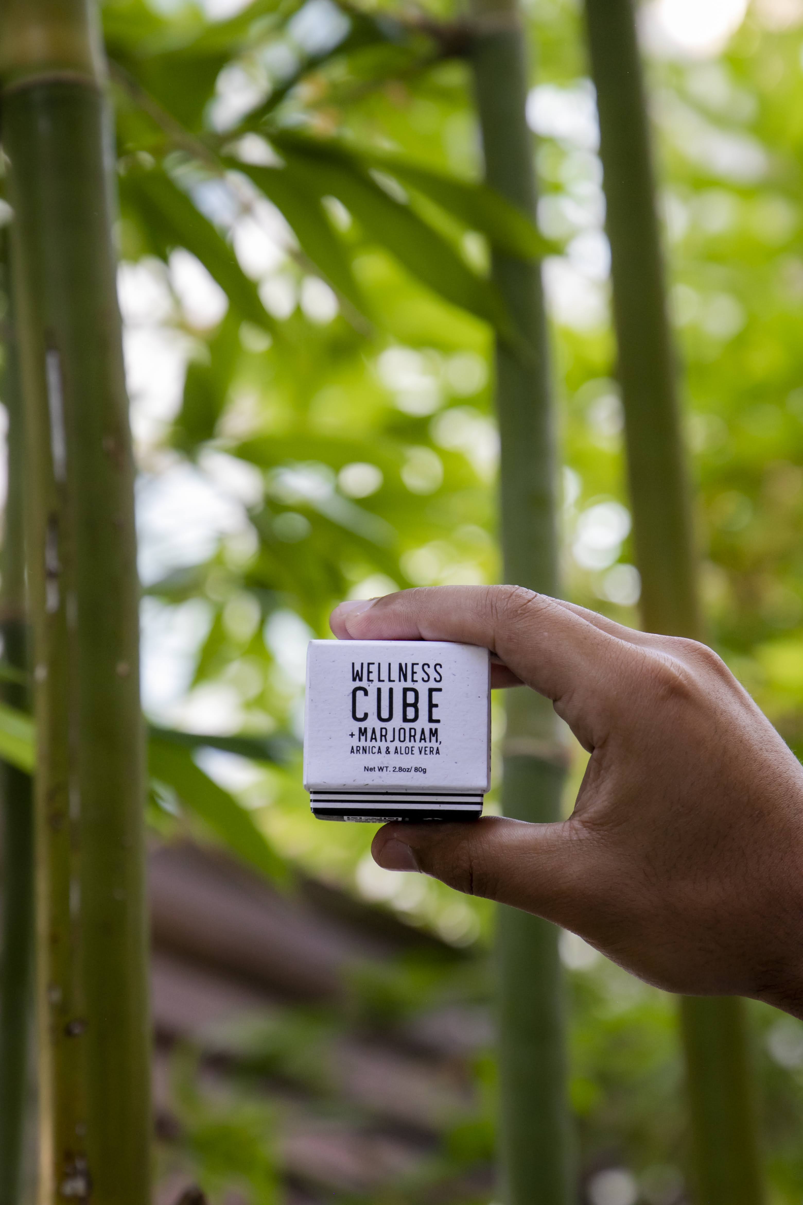 Wellness Cube