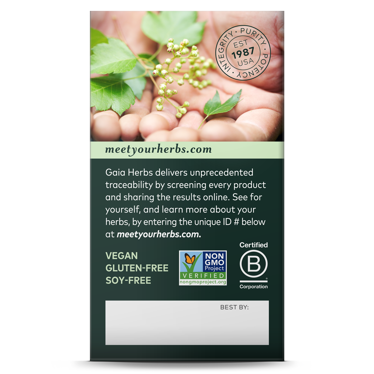 Everyday Immune - Mushrooms & Herbs