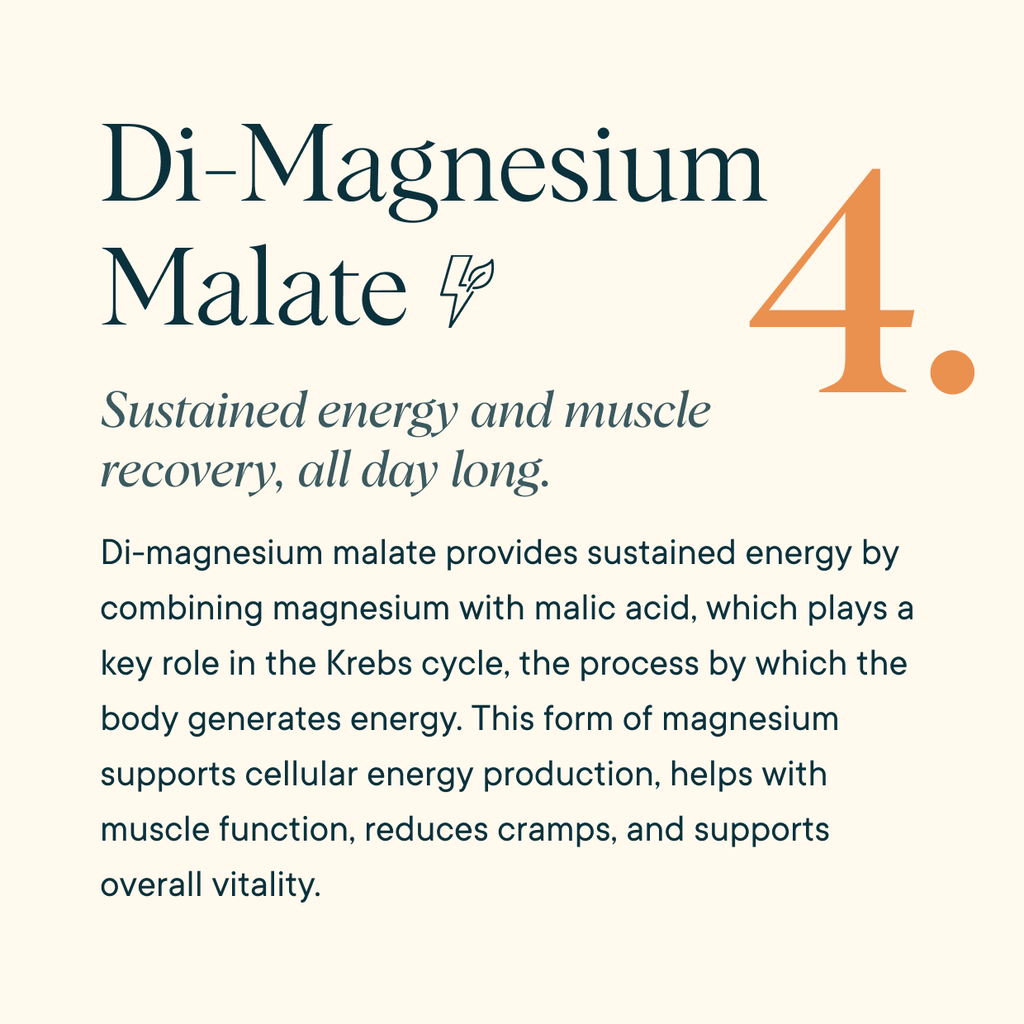 4-in-1 Magnesium Powder Supplement