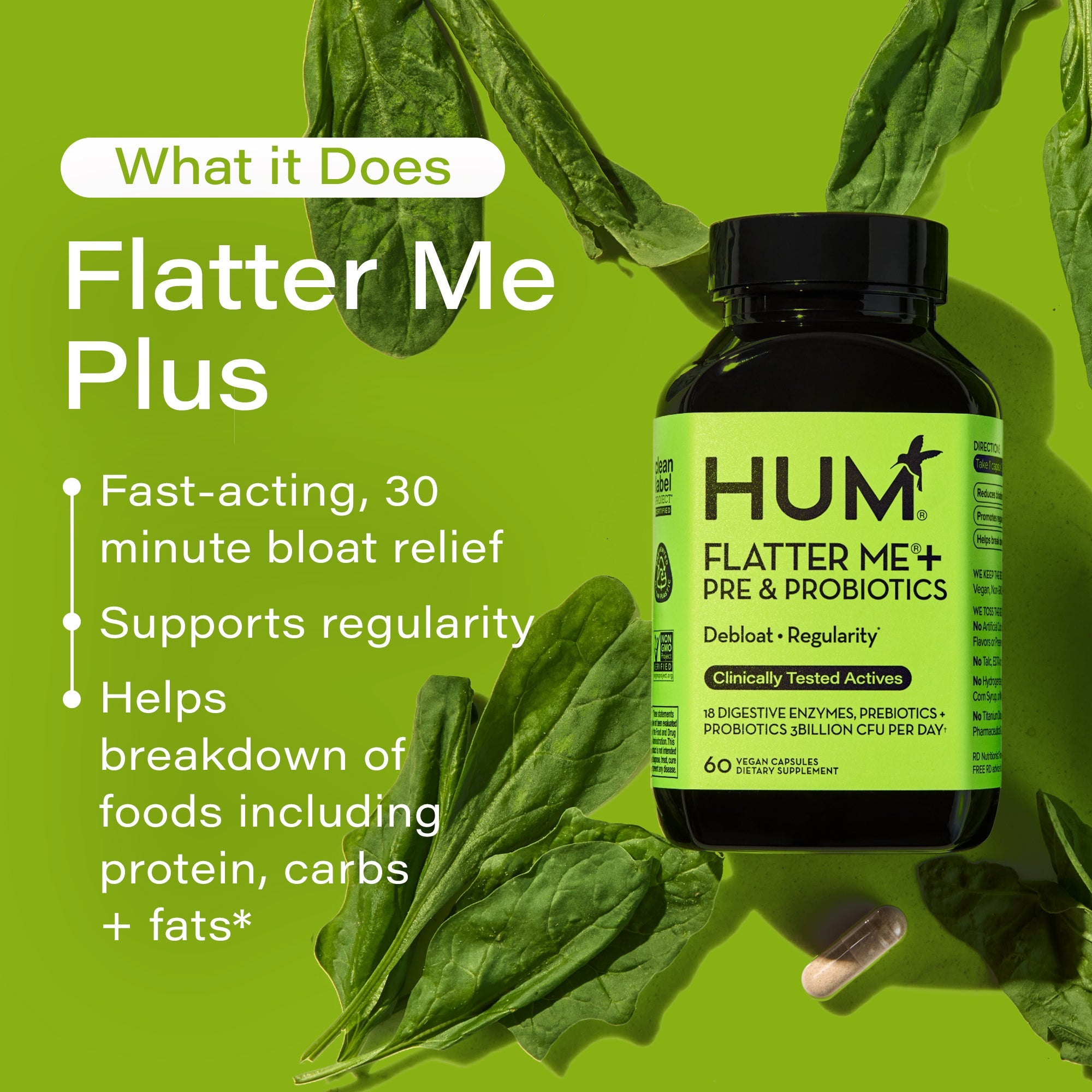 Flatter Me -  Debloat Enzymes + Pre and Probiotics For Regularity