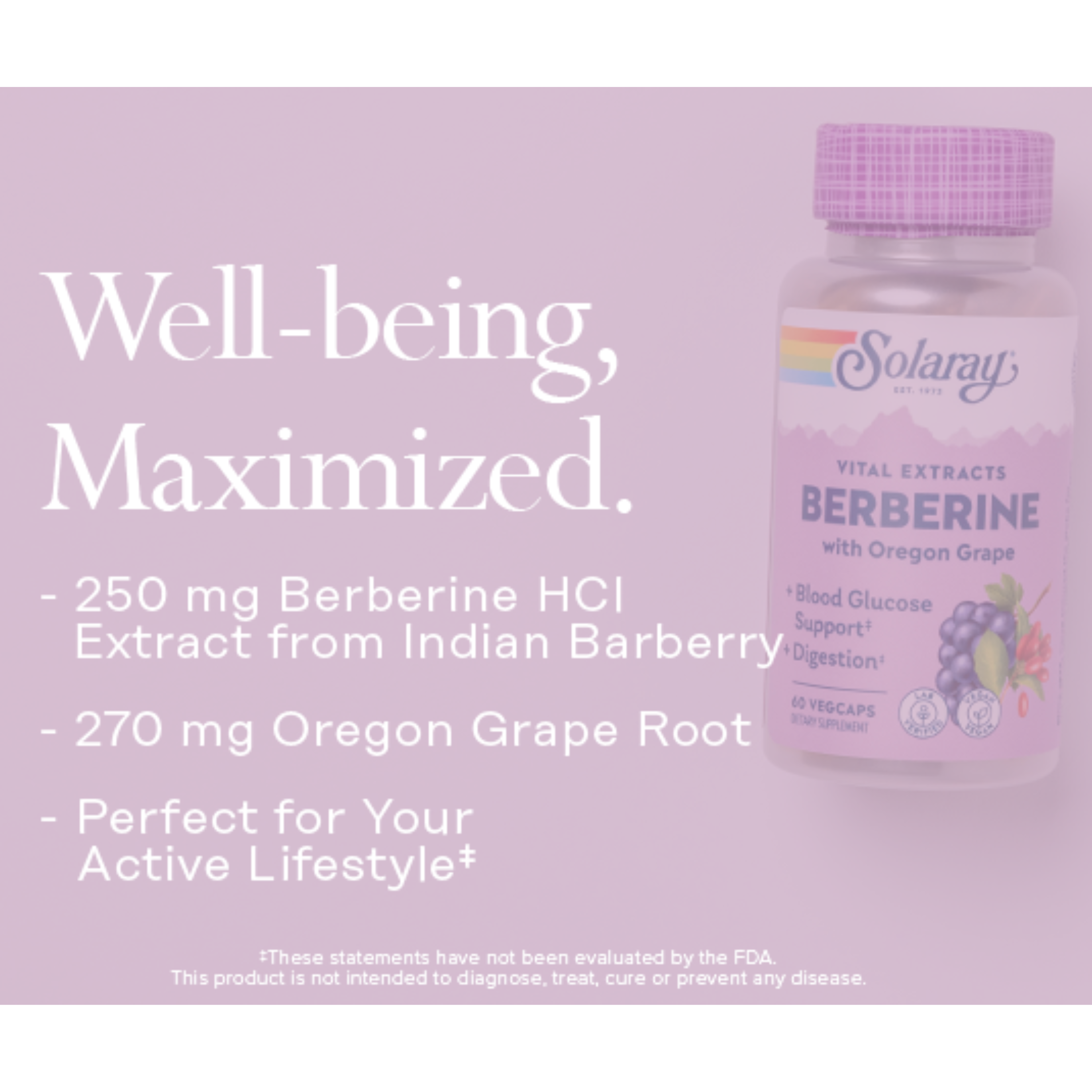 Vital Extracts Berberine from Indian Barberry, 500 mg