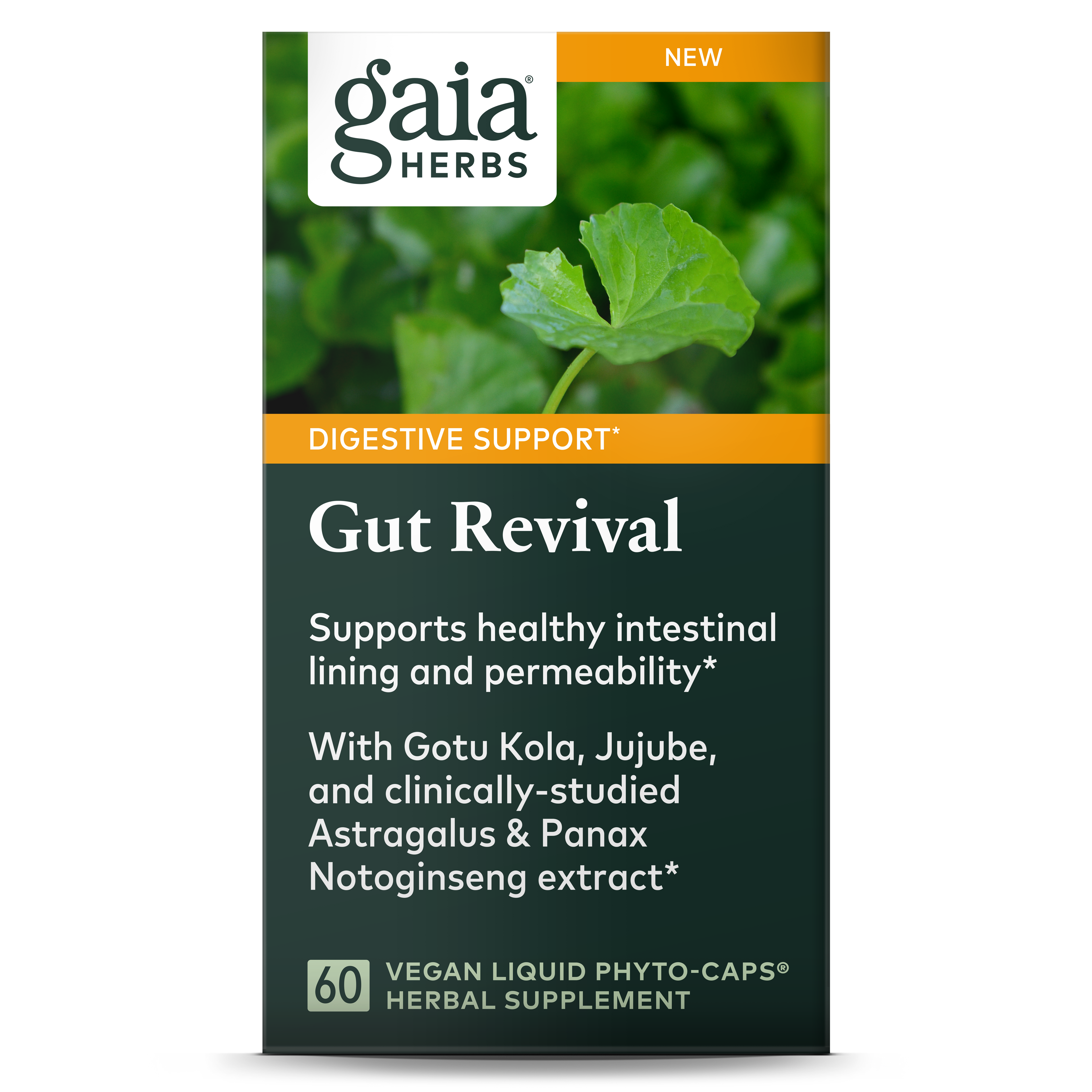 Gut Revival