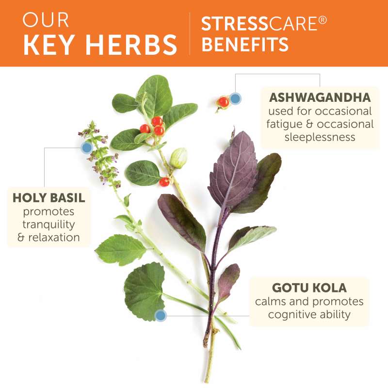 Stress Care
