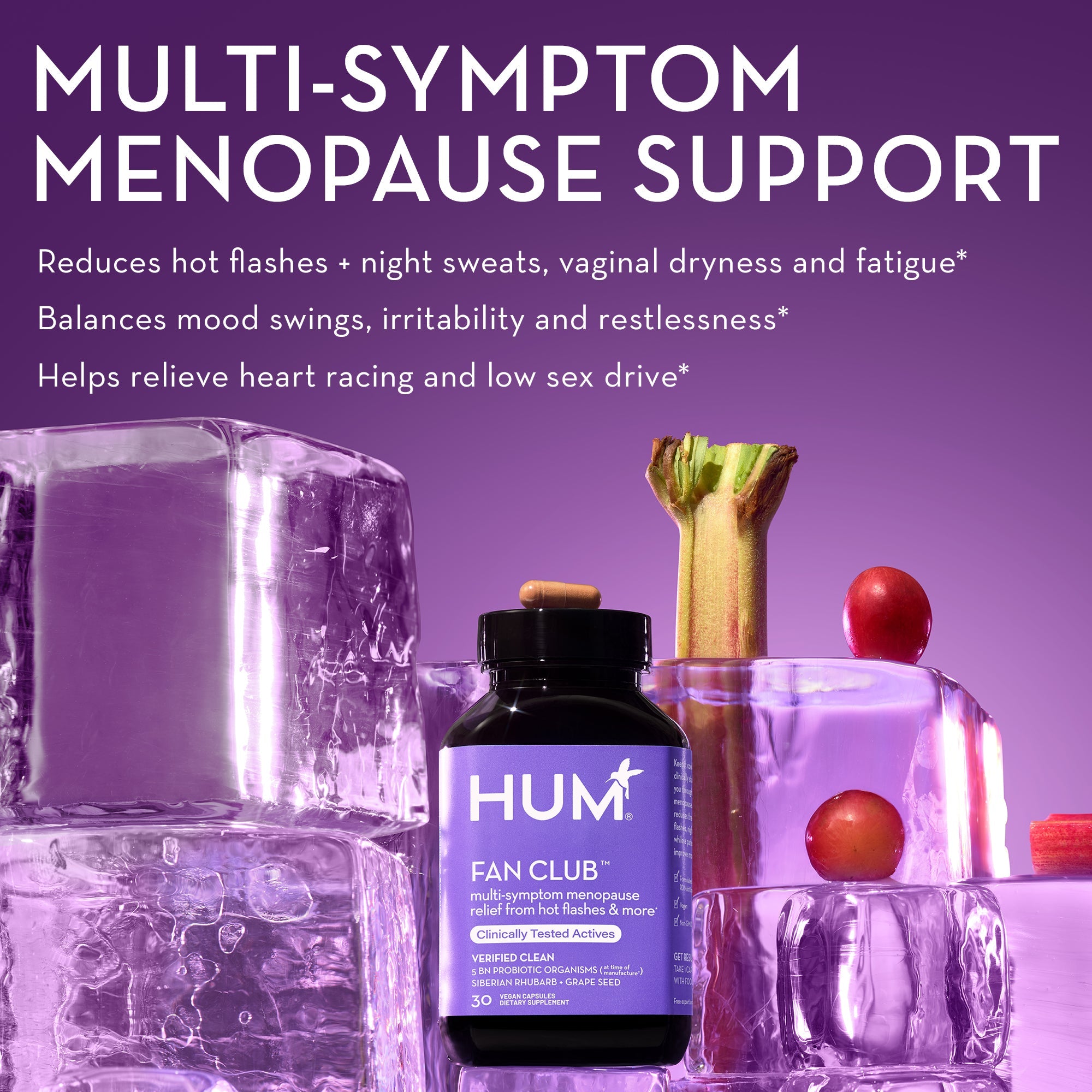 Fan Club Menopause Relief - For Hot Flashes