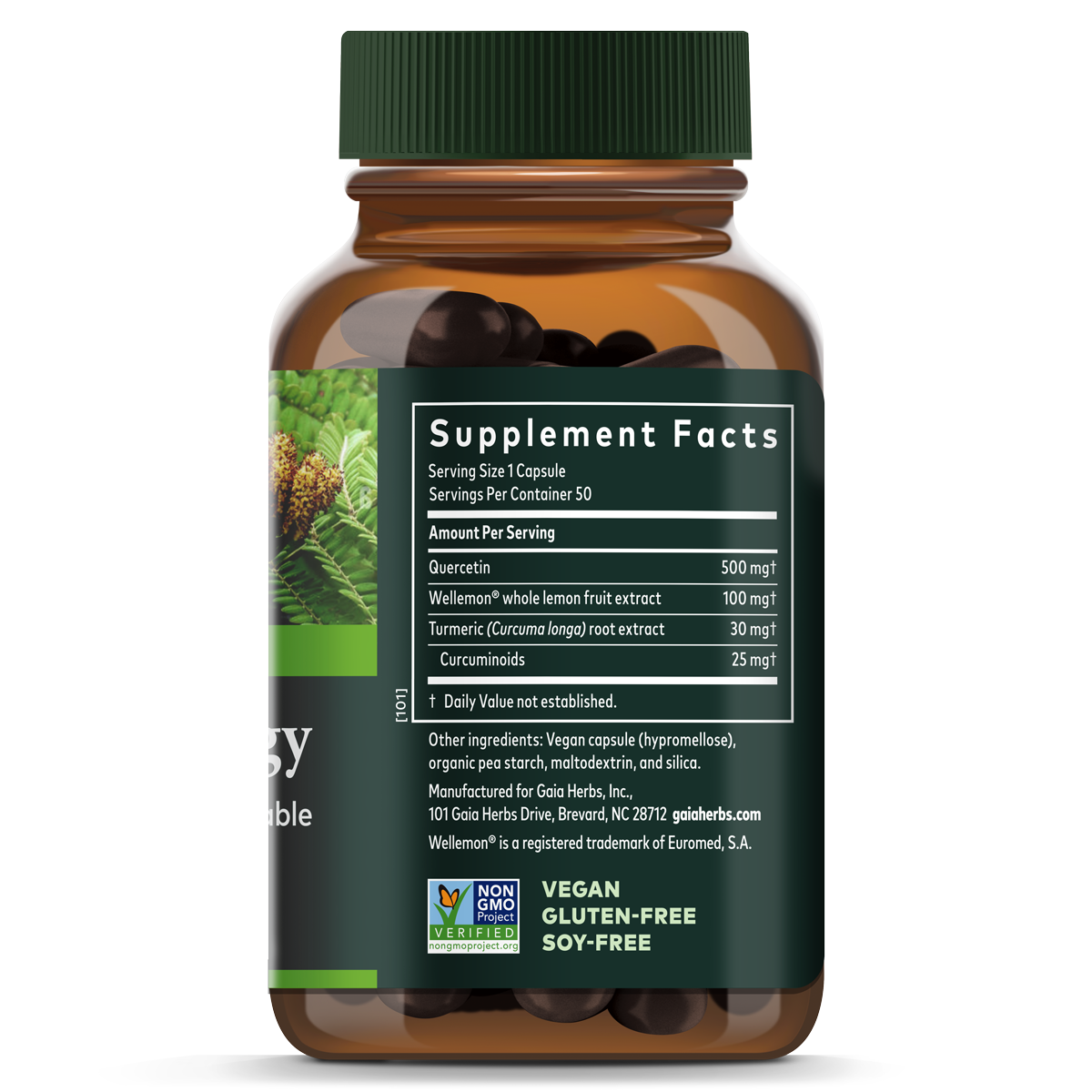 Quercetin Synergy - For Immune Support