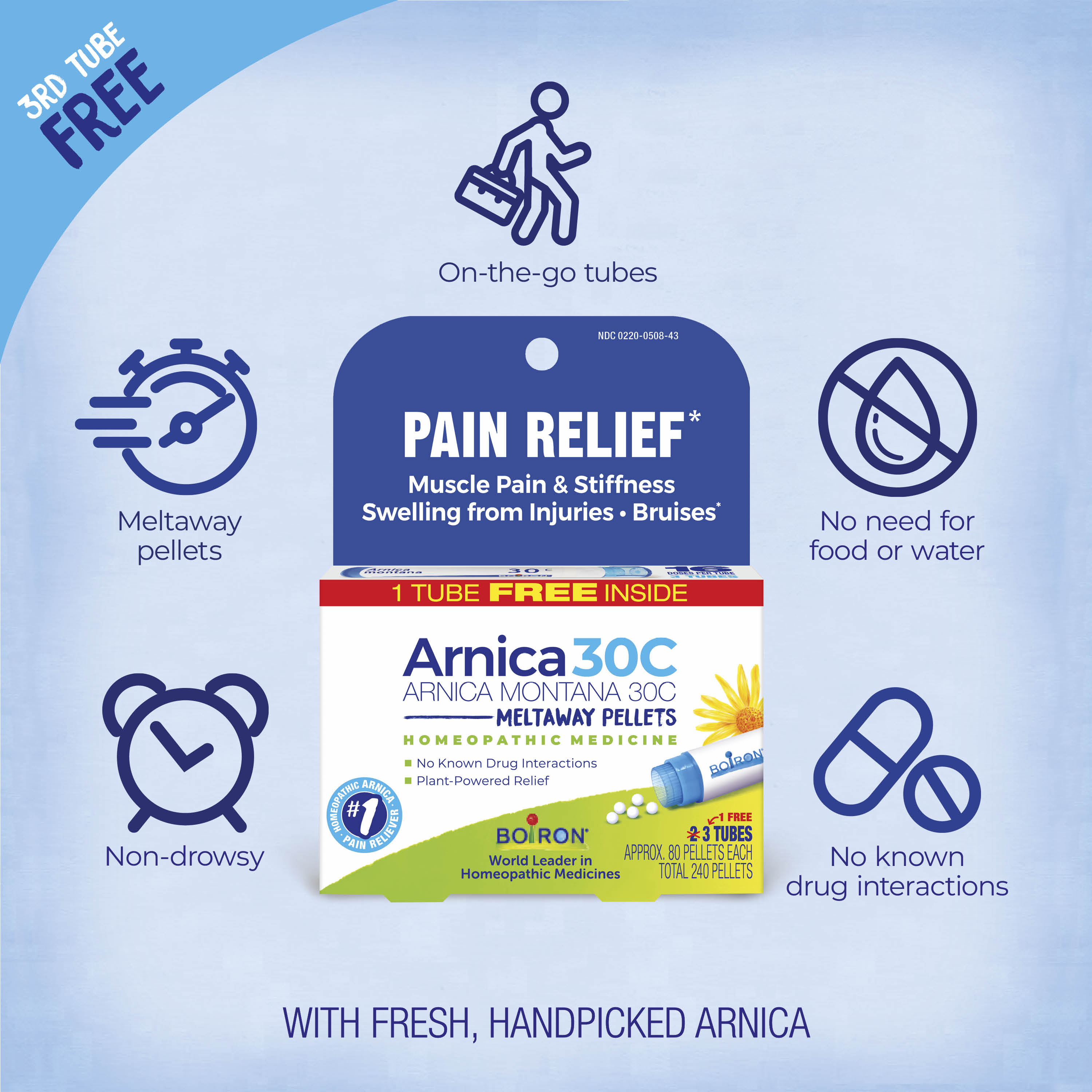 Arnica Montana 30C