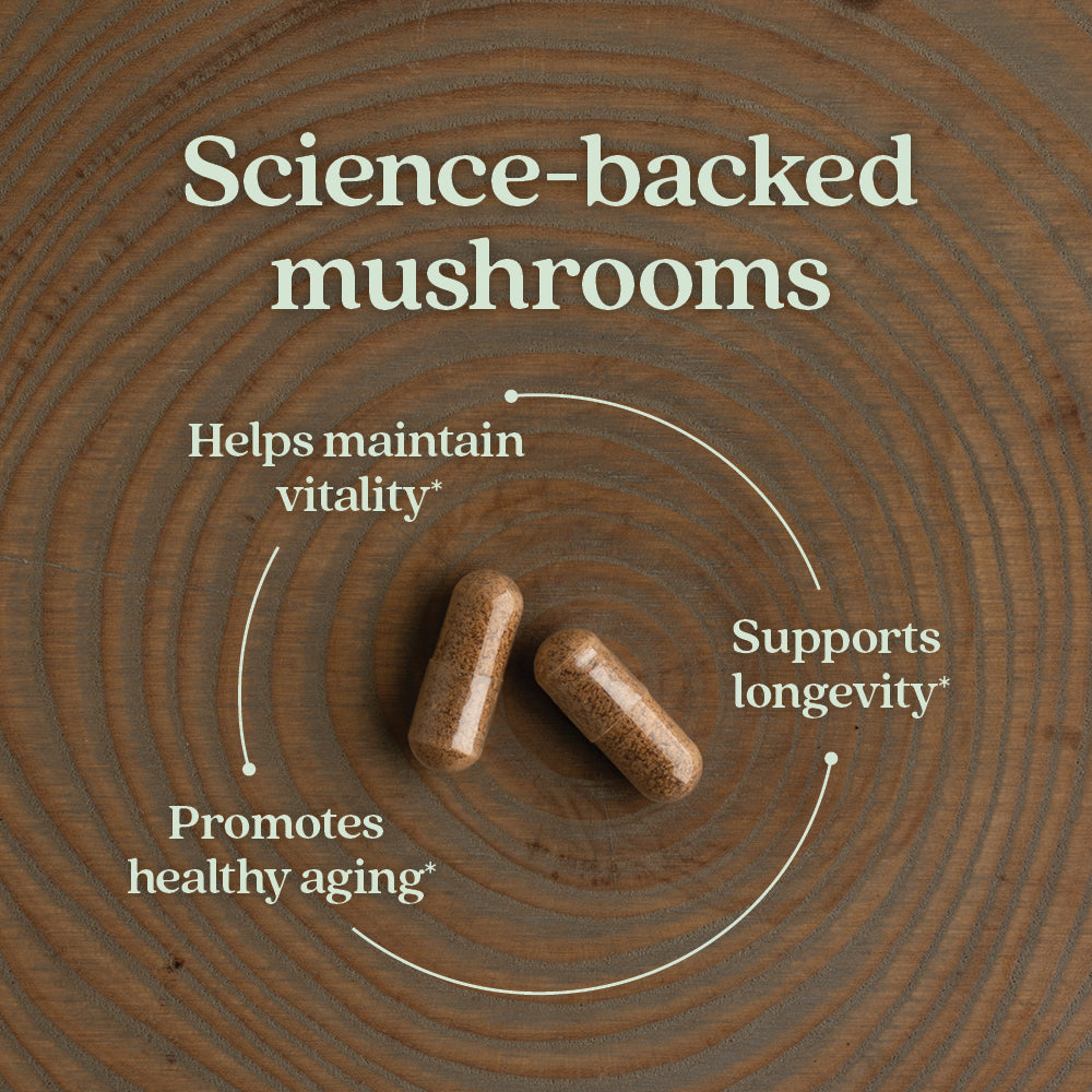 Healthy Aging, Reishi Mushroom