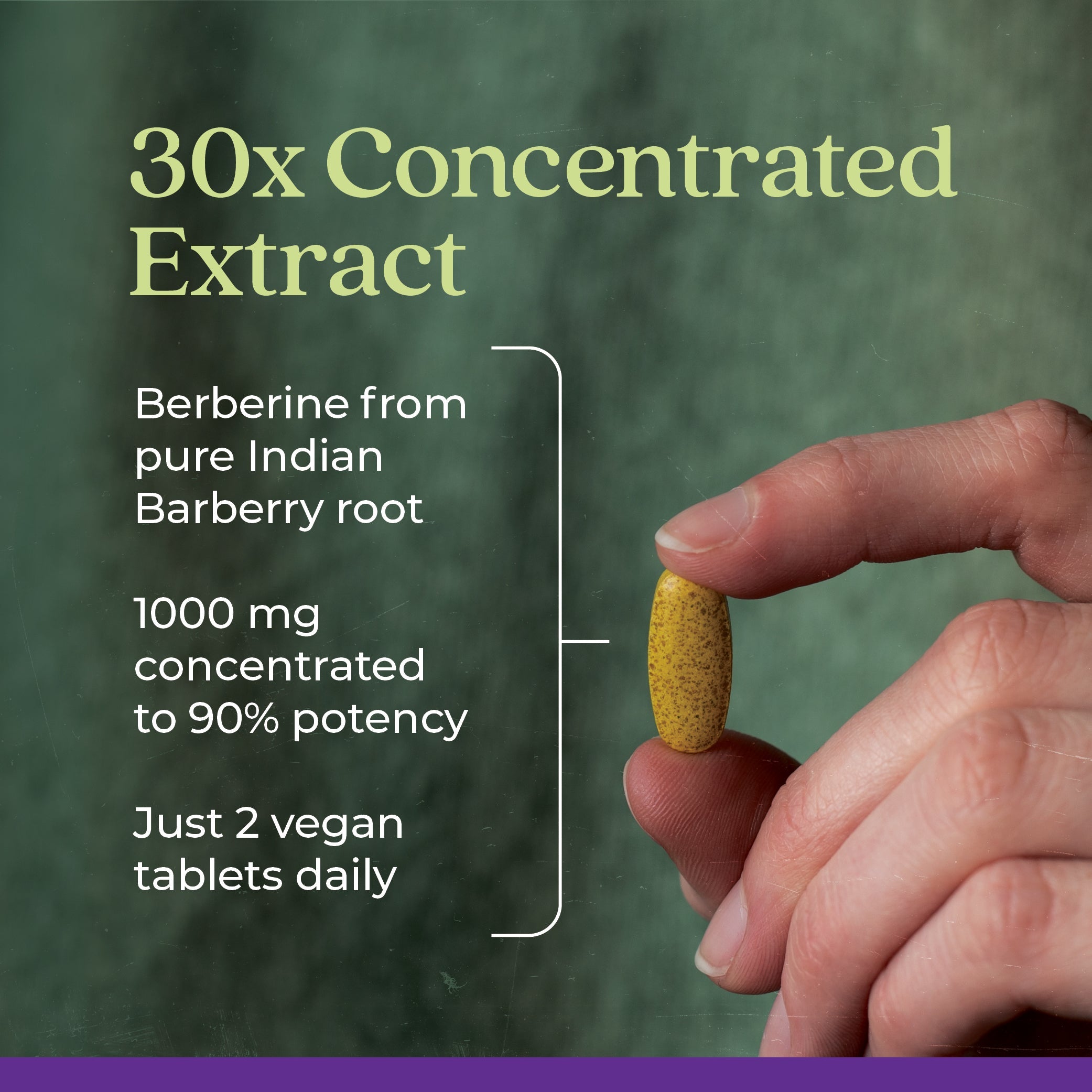 Berberine - 1000mg
