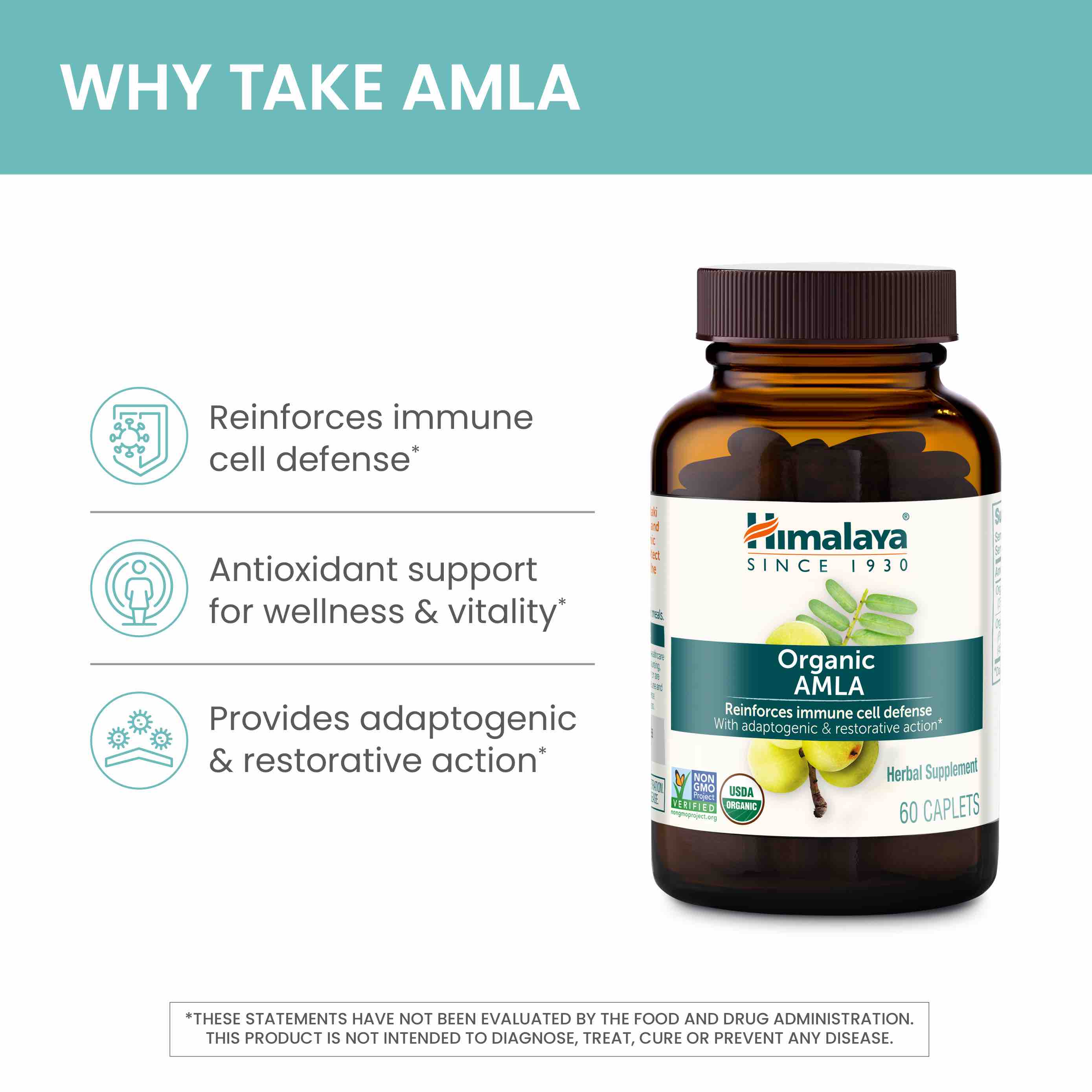 Organic Amla