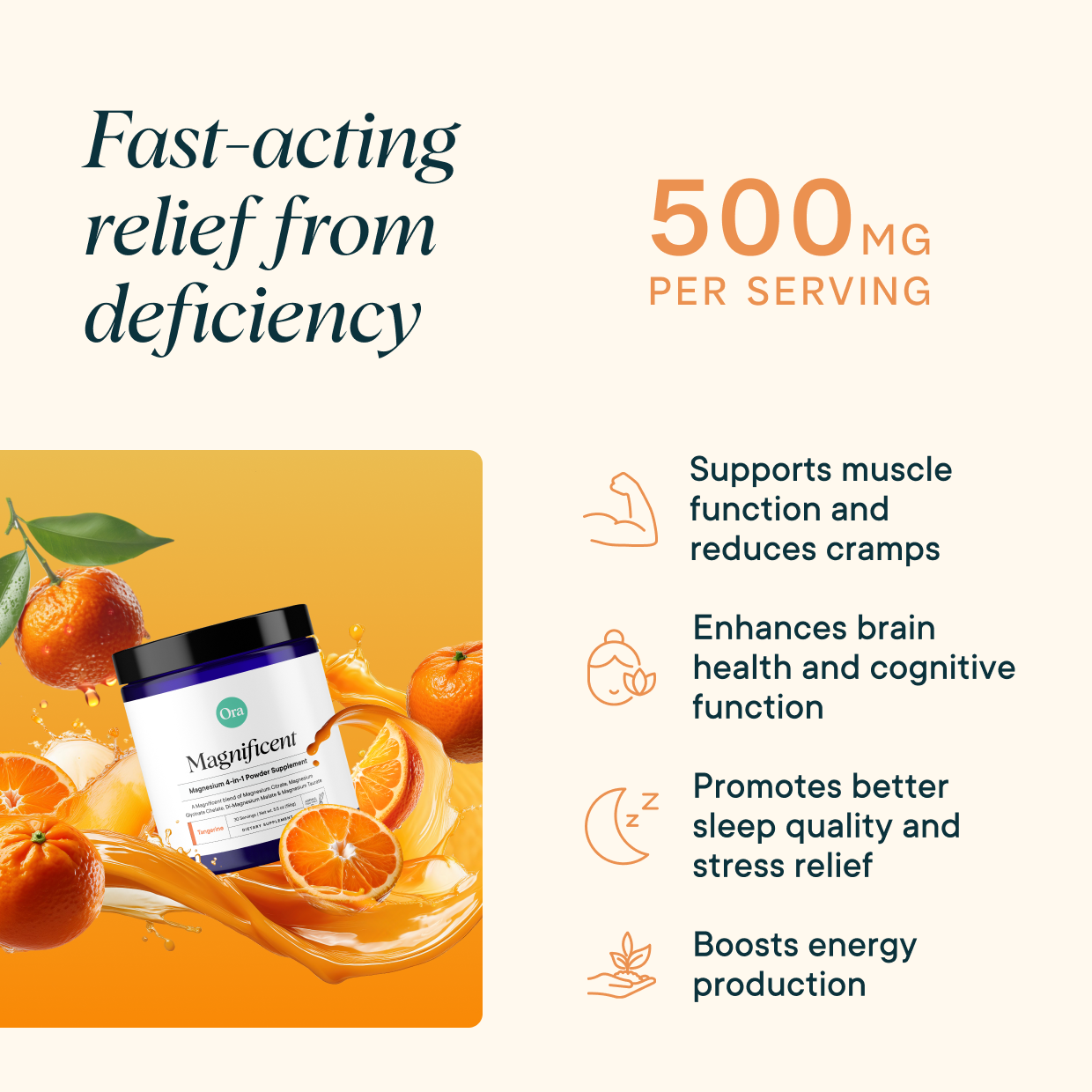 4-in-1 Magnesium Powder Supplement